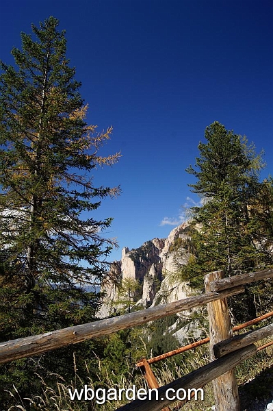 wbgarden alps 101.JPG